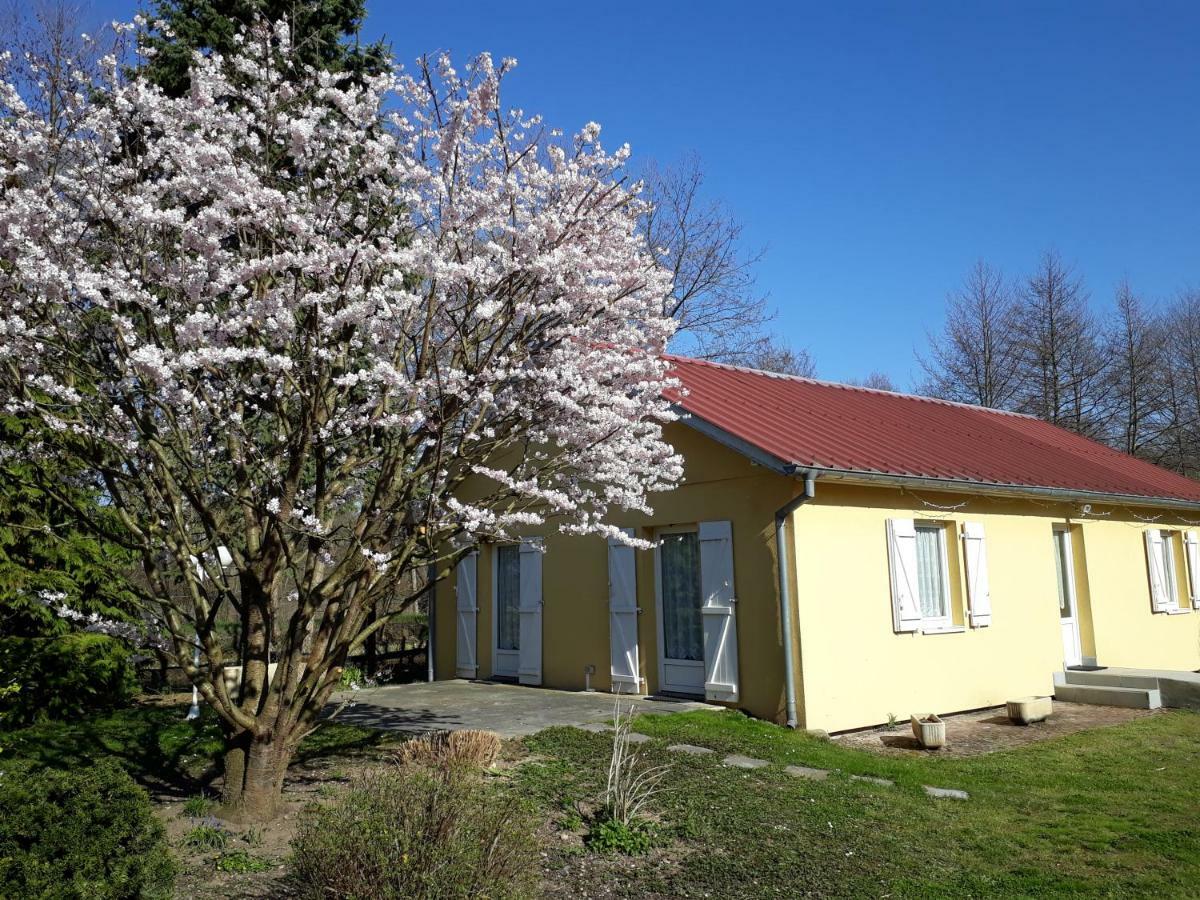 Maison De Manon Illhaeusern Exterior photo